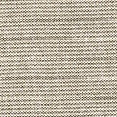 Coastline Bay Outdoor Loveseat with Cushion - Jay's Mattress Plus (NY)