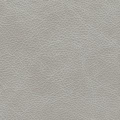 Amiata Upholstery Package - Jay's Mattress Plus (NY)
