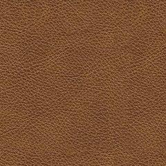 Carianna Living Room Set - Jay's Mattress Plus (NY)