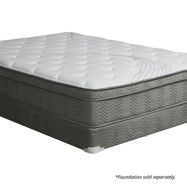 Afton 12 Euro Box Pocket Coil - Jay's Mattress Plus (NY)