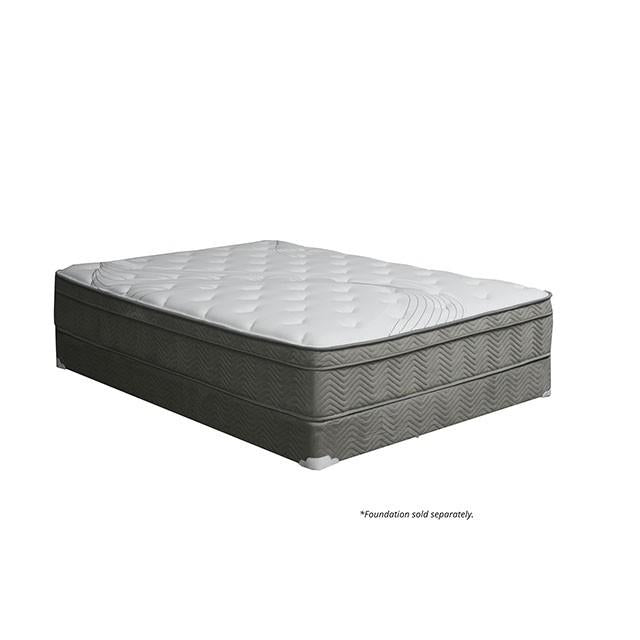 Afton 12 Euro Box Pocket Coil - Jay's Mattress Plus (NY)