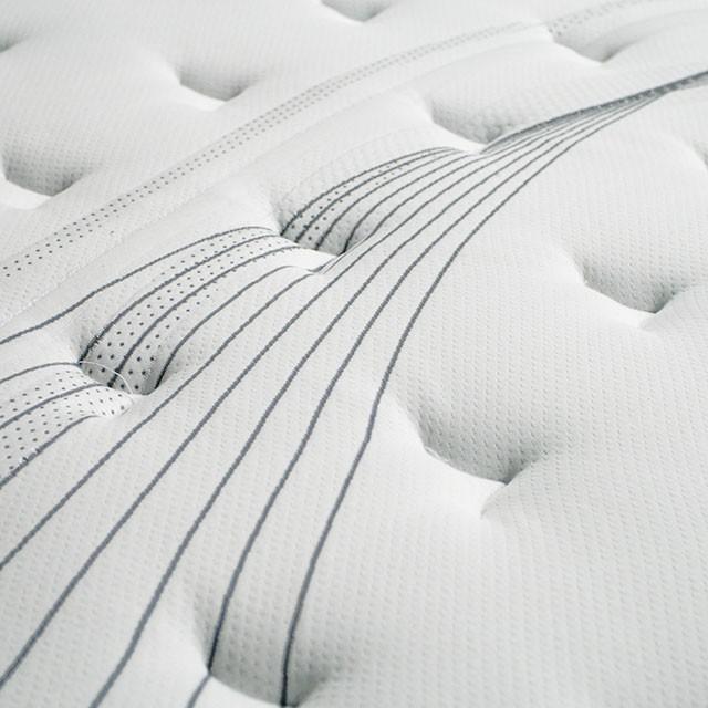 Afton 12 Euro Box Pocket Coil - Jay's Mattress Plus (NY)
