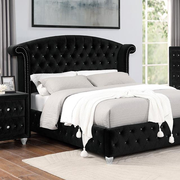 Zohar Bed Black & Pink - Jay's Mattress Plus (NY)