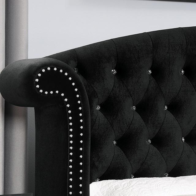 Zohar Bed Black & Pink - Jay's Mattress Plus (NY)