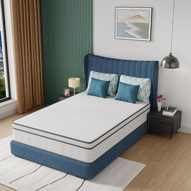 Catmint 12" Full Innerspring Mattress - Jay's Mattress Plus (NY)