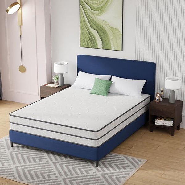 Catmint Mattress - Jay's Mattress Plus (NY)