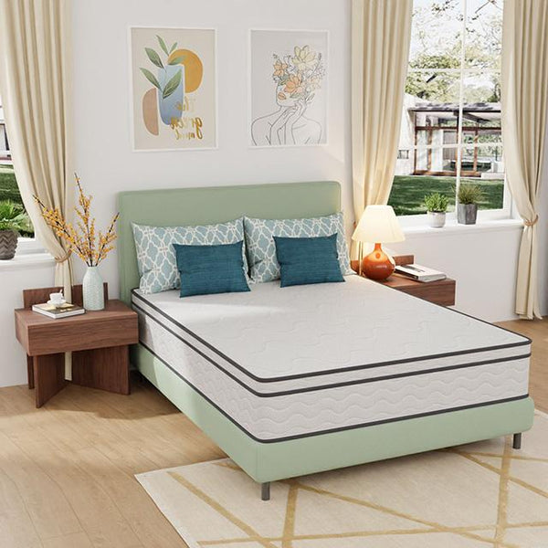Catmint Mattress - Jay's Mattress Plus (NY)