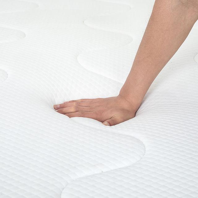 Catmint 10" Twin Innerspring Mattress - Jay's Mattress Plus (NY)