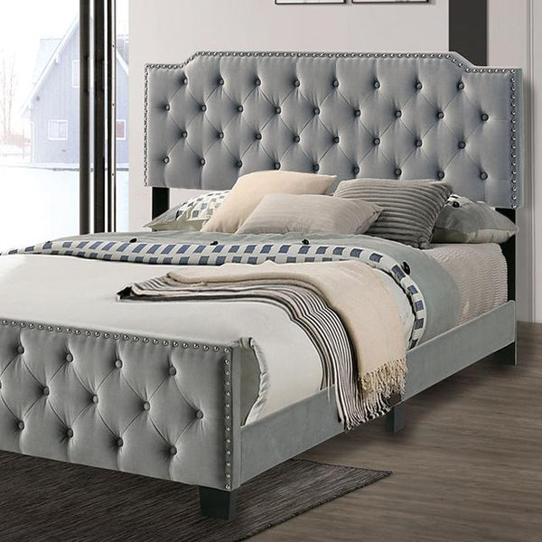 Charlize Bed Grey & Navy - Jay's Mattress Plus (NY)
