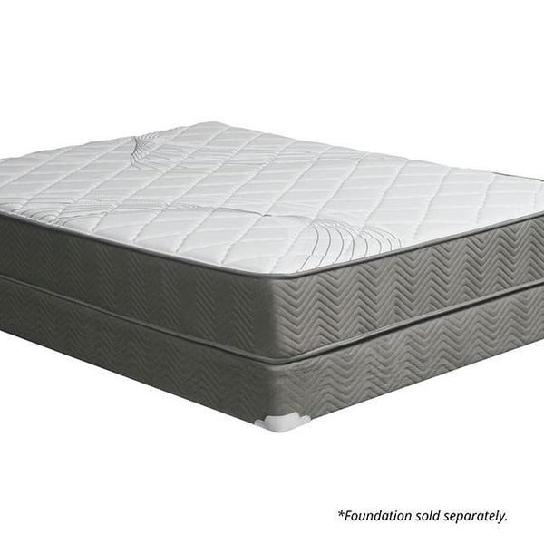 EDREA White/Gray 10" Tight Top Pocket Coil, Full - Jay's Mattress Plus (NY)