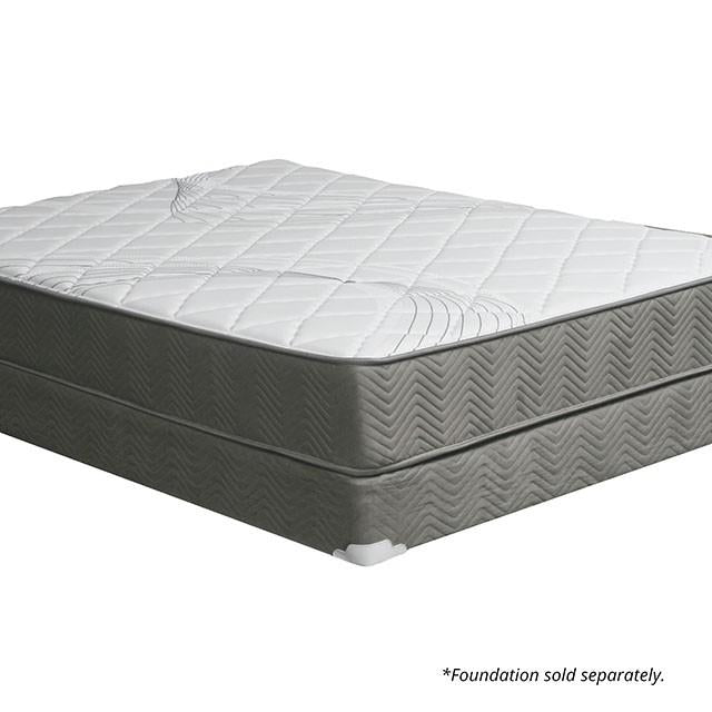 EDREA White/Gray 10" Tight Top Pocket Coil, Full - Jay's Mattress Plus (NY)