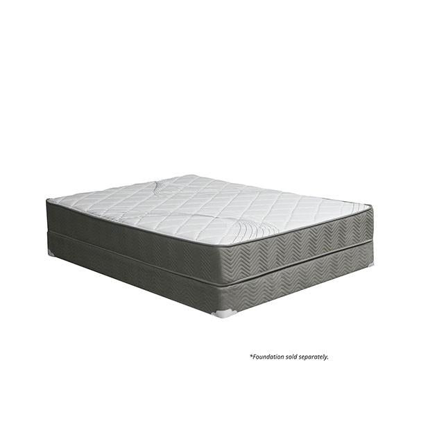EDREA White/Gray 10" Tight Top Pocket Coil, Full - Jay's Mattress Plus (NY)