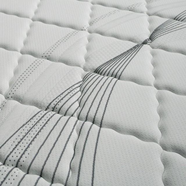 EDREA White/Gray 10" Tight Top Pocket Coil, Full - Jay's Mattress Plus (NY)