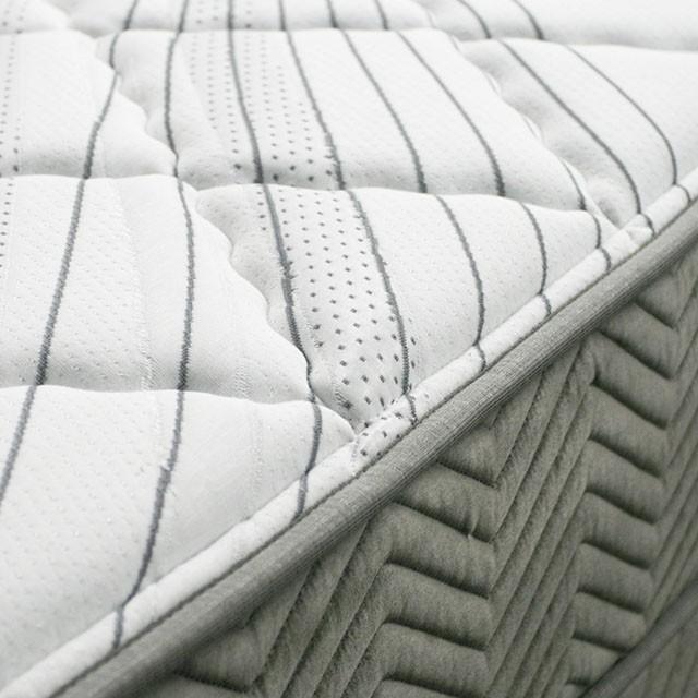 EDREA White/Gray 10" Tight Top Pocket Coil, Full - Jay's Mattress Plus (NY)
