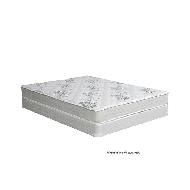 ELBERTYNA White 8" Tight Top Mattress, Twin - Jay's Mattress Plus (NY)