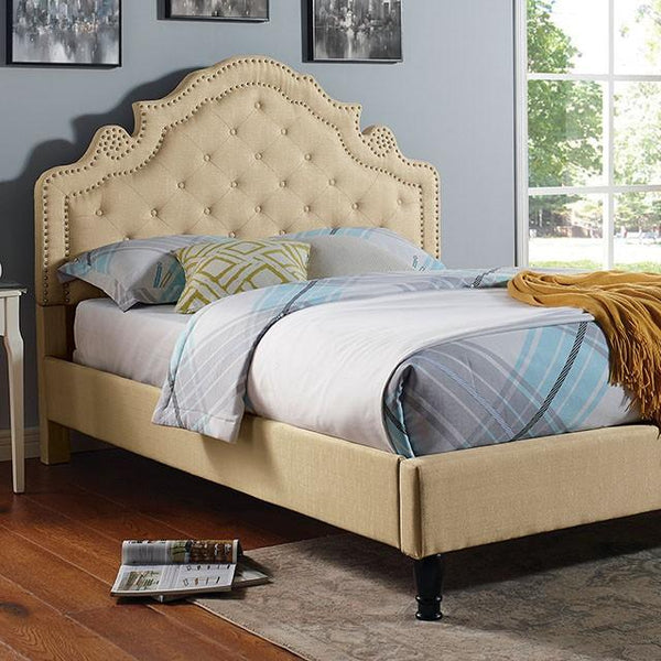 Aubree Cal.King & E.King Bed - Jay's Mattress Plus (NY)