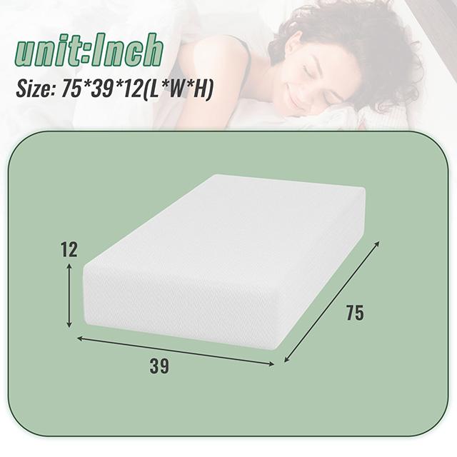Coreopsis 12" Twin Memory Foam Wave Comfort - Jay's Mattress Plus (NY)