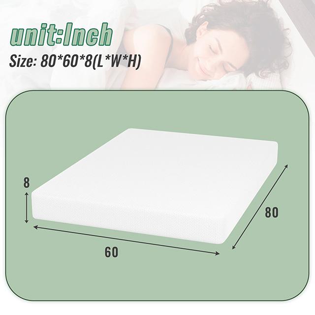 Coreopsis 8" Queen Memory Foam Wave Comfort - Jay's Mattress Plus (NY)