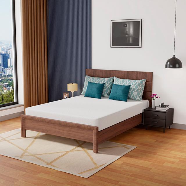 Coreopsis 8" Queen Memory Foam Wave Comfort - Jay's Mattress Plus (NY)