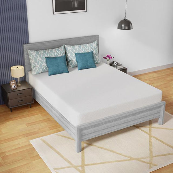 Coreopsis Mattress - Jay's Mattress Plus (NY)
