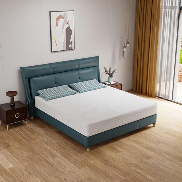 Forsythia 10" E.King Green Tea Gel Memory Foam - Jay's Mattress Plus (NY)