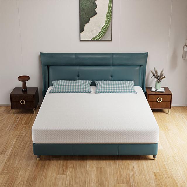 Forsythia 10" E.King Green Tea Gel Memory Foam - Jay's Mattress Plus (NY)