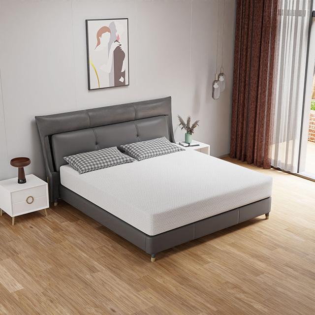 Forsythia 10" Queen Green Tea Gel Memory Foam - Jay's Mattress Plus (NY)