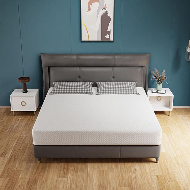 Forsythia 10" Queen Green Tea Gel Memory Foam - Jay's Mattress Plus (NY)