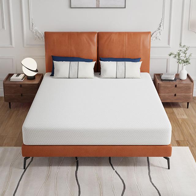 Forsythia 8" Queen Green Tea Gel Memory Foam - Jay's Mattress Plus (NY)