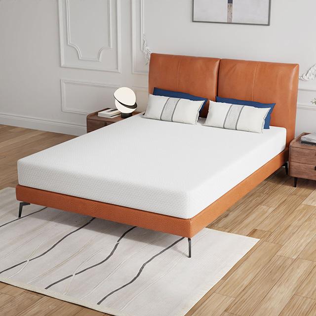 Forsythia 8" Queen Green Tea Gel Memory Foam - Jay's Mattress Plus (NY)
