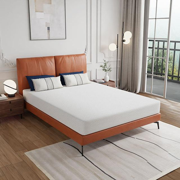 Forsythia Mattress - Jay's Mattress Plus (NY)