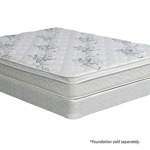 JALEN White 9" Euro Top Mattress, Full - Jay's Mattress Plus (NY)
