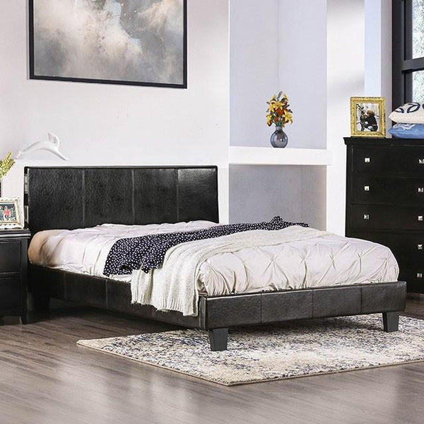 Evans Bed Espresso & Pink - Jay's Mattress Plus (NY)