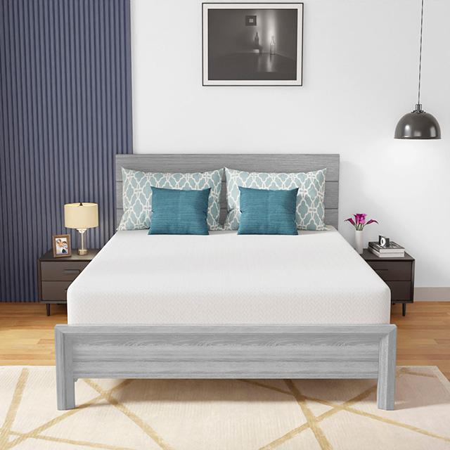 Coreopsis 10" Queen Memory Foam Wave Comfort - Jay's Mattress Plus (NY)