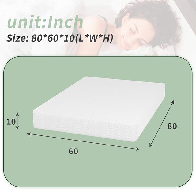 Coreopsis 10" Queen Memory Foam Wave Comfort - Jay's Mattress Plus (NY)