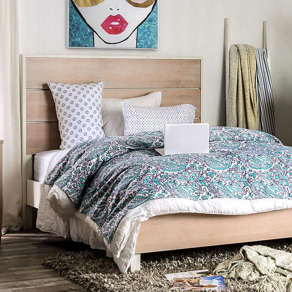 Roseburg Cal.King Bed - Jay's Mattress Plus (NY)