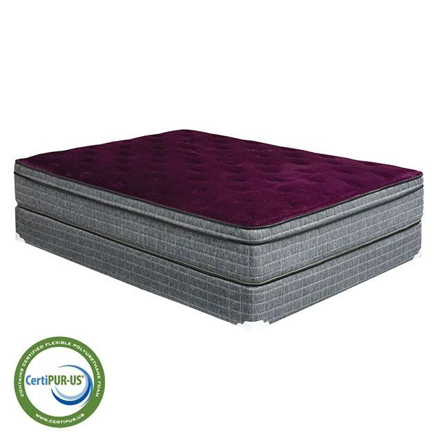 Purple/Grey 13" Euro Pillow Top Mattress Non-Flip, Full - Jay's Mattress Plus (NY)
