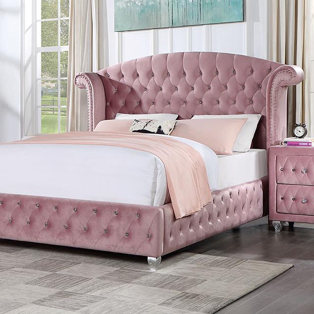 Zohar Queen & Twin Bed Black, Grey, & Pink - Jay's Mattress Plus (NY)