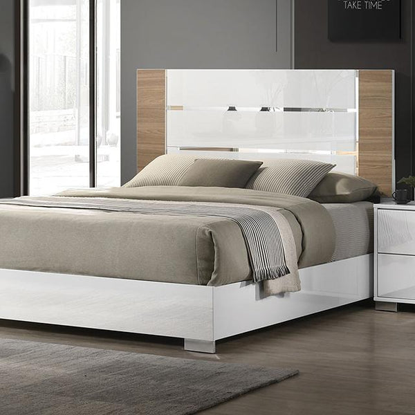 Erlangen Bed - Jay's Mattress Plus (NY)