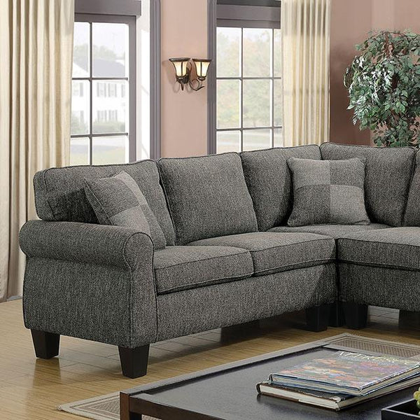 Rhian Dark Gray Sectional image