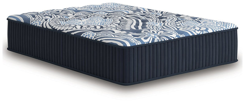 Firm Luxe 2.0 Mattress - Jay's Mattress Plus (NY)