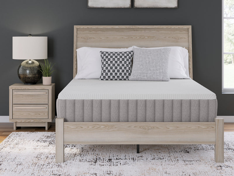 Terra Sleep Medium Mattress - Jay's Mattress Plus (NY)