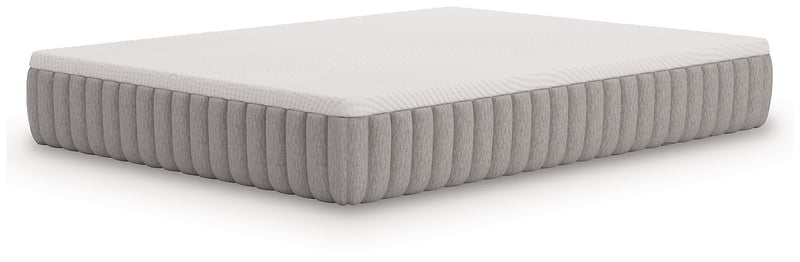 Terra Sleep Medium Mattress - Jay's Mattress Plus (NY)