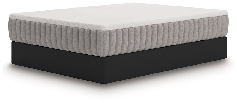 Terra Sleep Medium Mattress - Jay's Mattress Plus (NY)