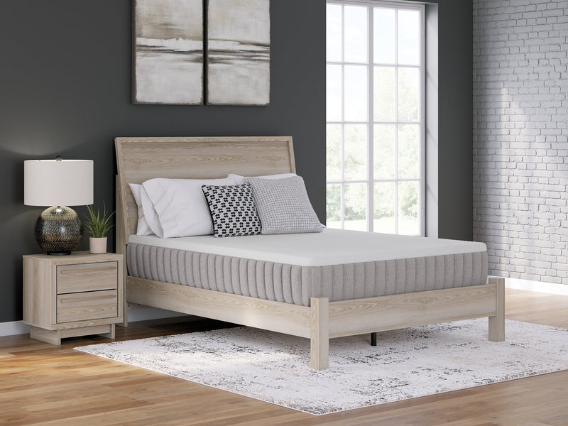 Terra Sleep Medium Mattress - Jay's Mattress Plus (NY)