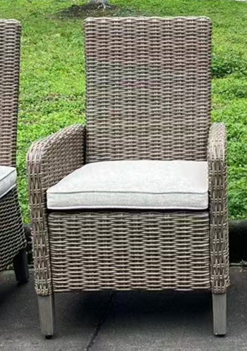 Laguna Heights Arm Chair with Cushion (Set of 2) - Jay's Mattress Plus (NY)