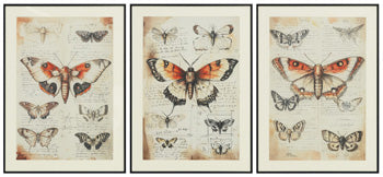 Jossletts Wall Art (Set of 3) - Jay's Mattress Plus (NY)