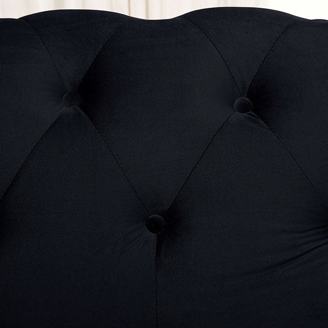 Giacomo Sofa - Jay's Mattress Plus (NY)
