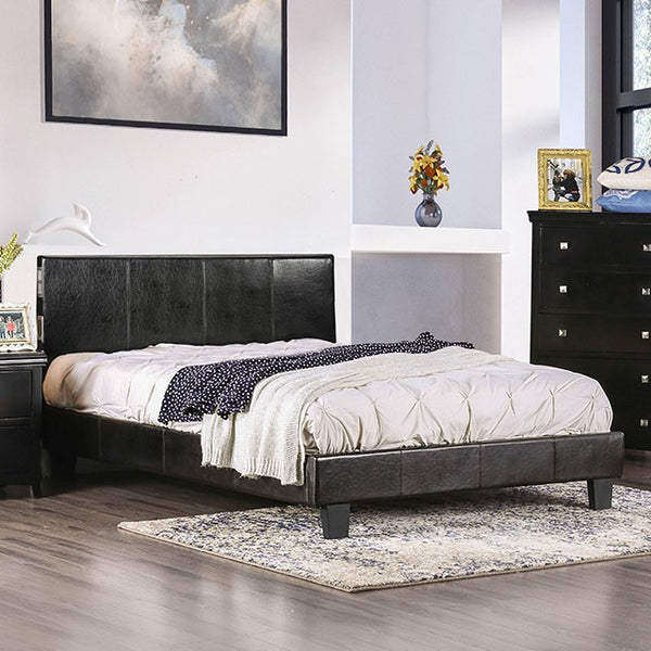 Evans Twin Bed - Jay's Mattress Plus (NY)