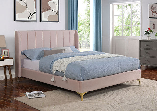 Pearl Bed - Jay's Mattress Plus (NY)